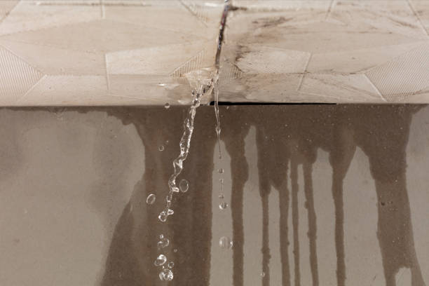 Professional Water Extraction technician working in Rowlett, TX